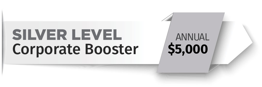 silver-level-c