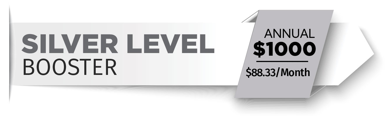 silver-level